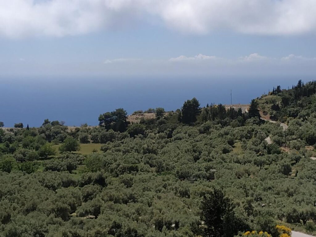 Sea view